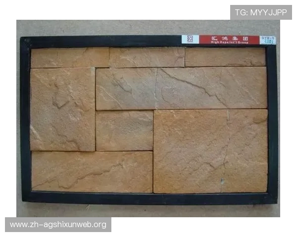 ag8亚游娱乐游戏攻略大全提升你的游戏技巧和获胜几率的实用技巧